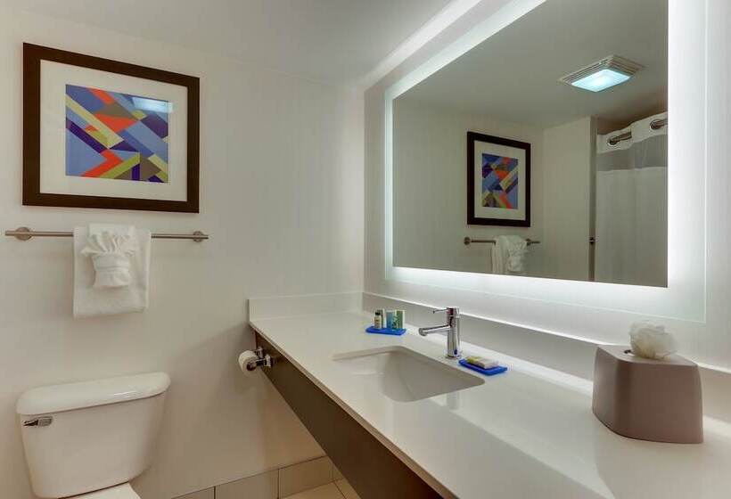 스탠다드 룸, Holiday Inn Express & Suites Troy By Ihg