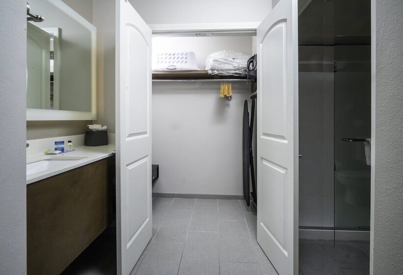 Люкс 2 Спальни, Staybridge Suites   Summerville, An Ihg