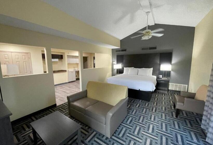 Suite Kingsize Bett, La Quinta Inn By Wyndham Indianapolis Airport Lynhurst