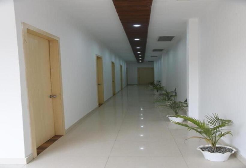Номер Superior Кровать Кинг, The Palm Tree  Family Stay