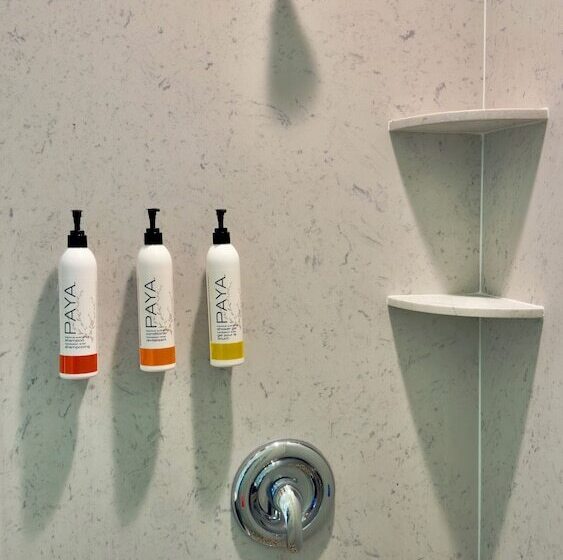 Suite Executive, Marina Village Inn