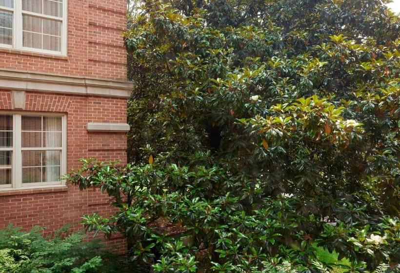اتاق استاندارد با تخت بزرگ, Westfields Marriott Washington Dulles
