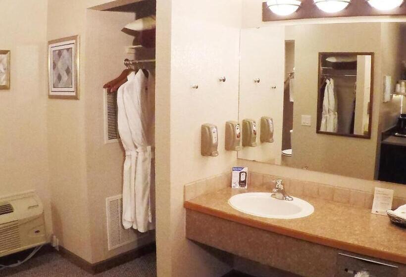 חדר סטנדרט יחיד מיטת קינג, Mountain View Lodge