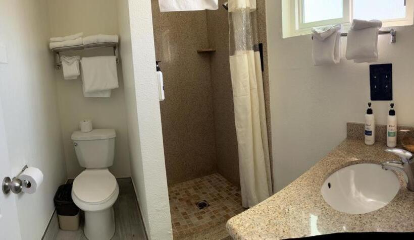 Номер Стандарт 2 Двуспальные Кровати, Ocean Palms Motel