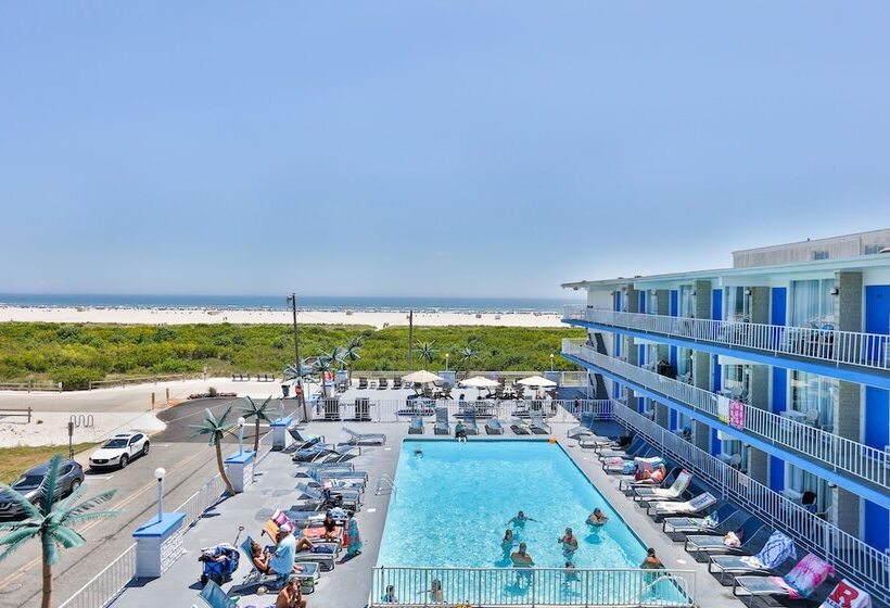 디럭스 스튜디오, Olympic Island Beach Resort