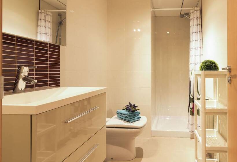 شقة ديلوكس غرفة واحدة, Apartamentos Elcano
