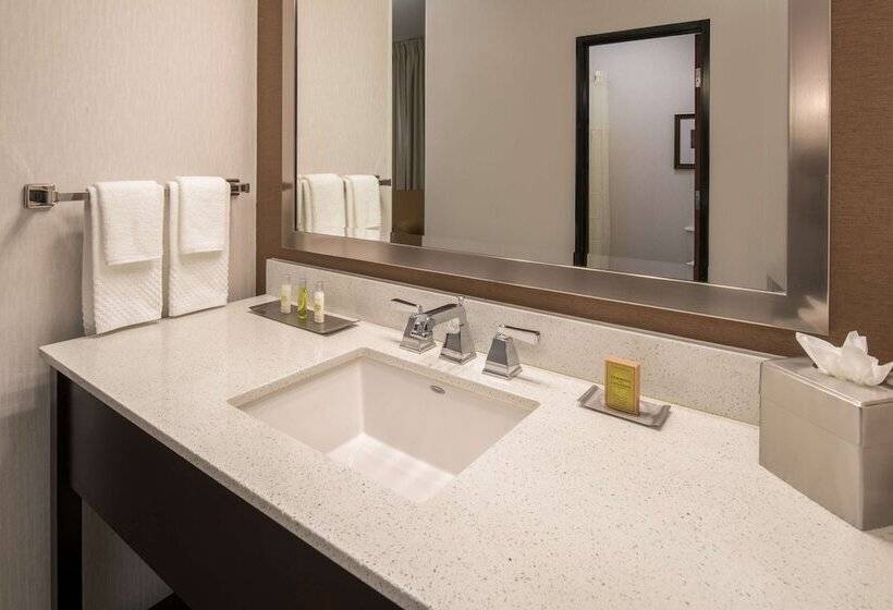 スタンダードルーム, Doubletree By Hilton Hotel Vancouver