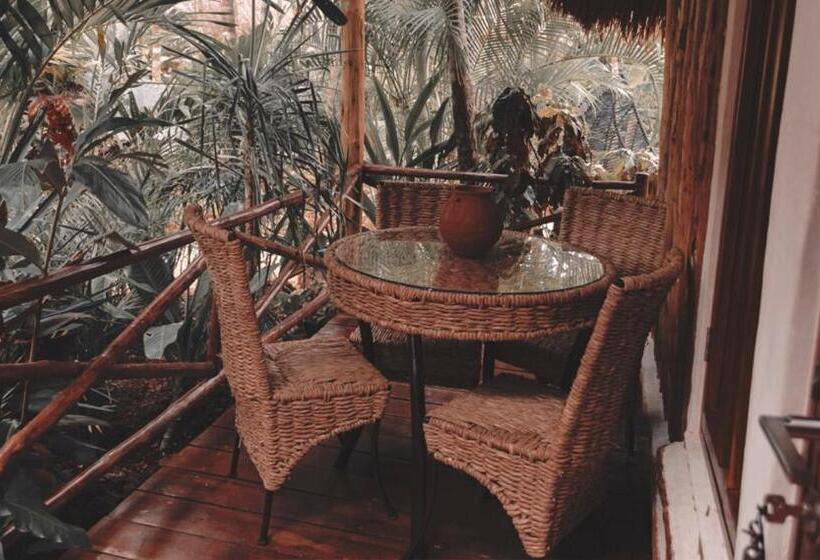 スタンダードルーム, Boutique Chacá