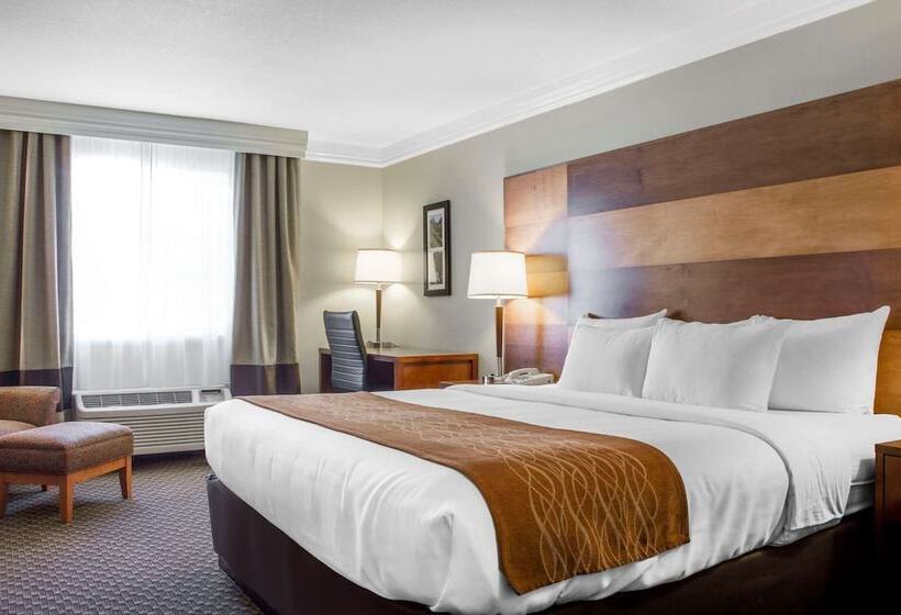 Номер Стандарт 2 Двуспальные Кровати, Comfort Inn & Suites Durango