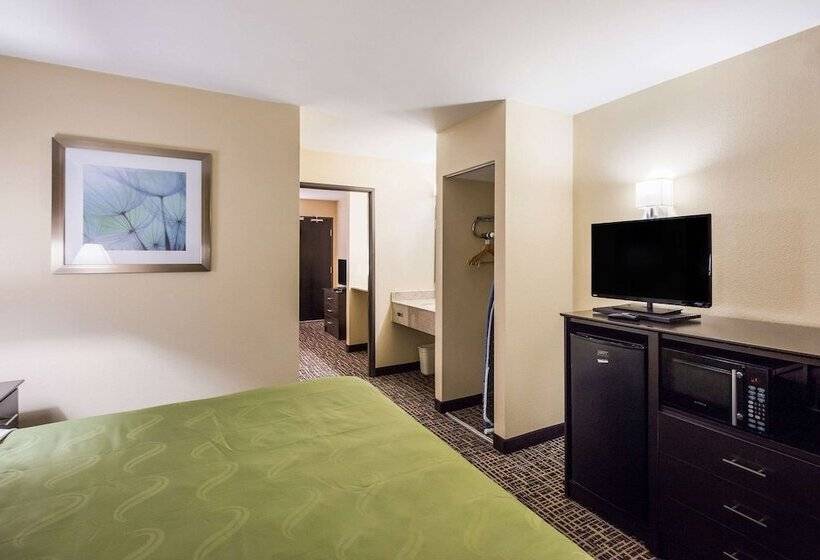 Suite, Quality Inn & Suites Caseyville  St. Louis