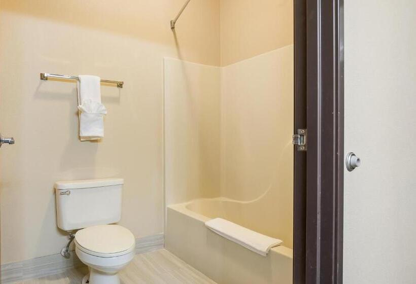 Standard Værelse King Size Seng, Quality Inn & Suites Caseyville  St. Louis