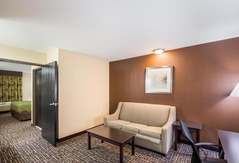 Suite King Size Seng, Quality Inn & Suites Caseyville  St. Louis