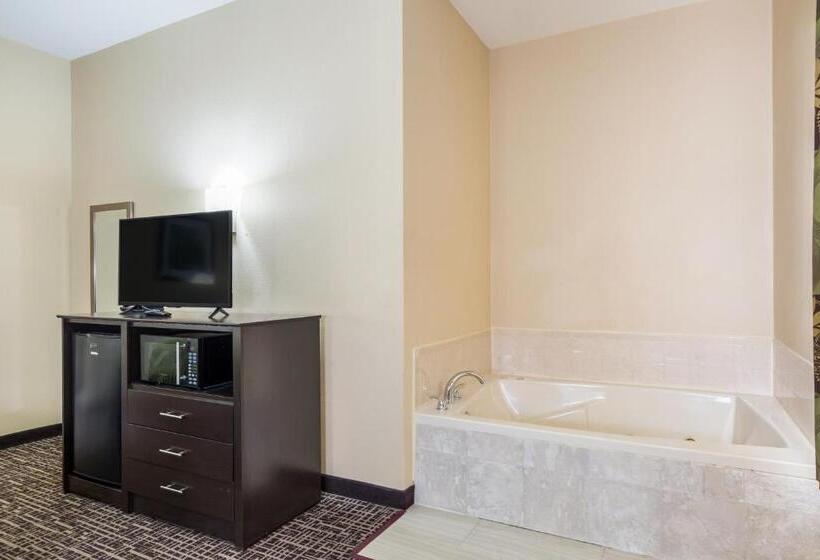 Suite King Size Seng, Quality Inn & Suites Caseyville  St. Louis