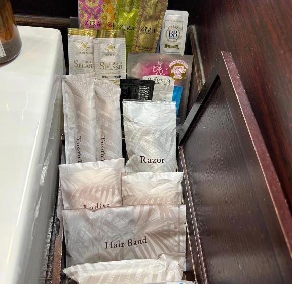 Номер Superior, Balian Resort Shinjuku Honten