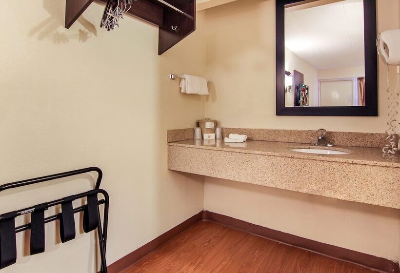 Номер Deluxe Адаптированный для Инвалидов, Red Roof Inn Detroit  Troy