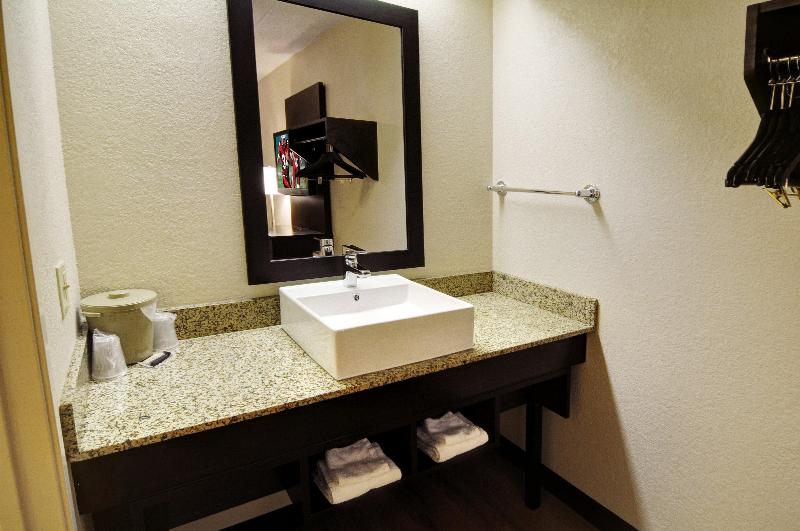 اتاق استاندارد با تخت بزرگ, American Inn & Suites Bishop Airport Flint