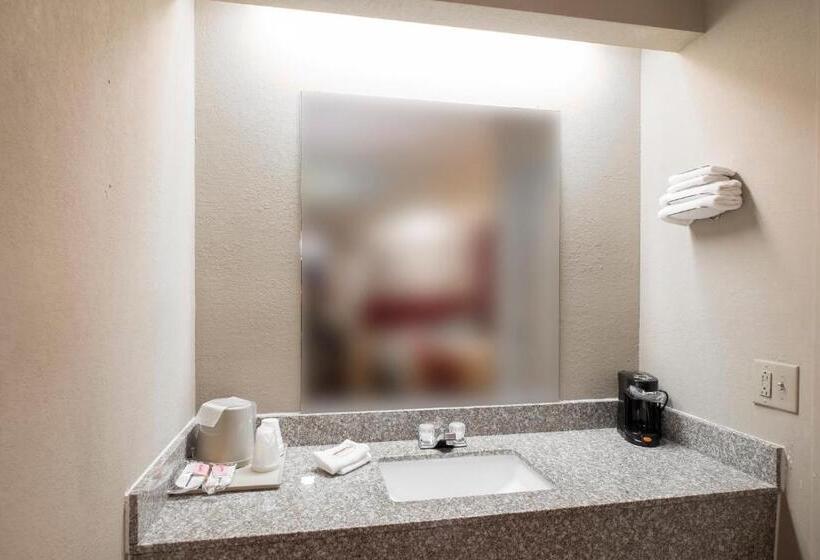 Номер Deluxe Кровать Кинг, Red Roof Inn Jackson Downtown  Fairgrounds