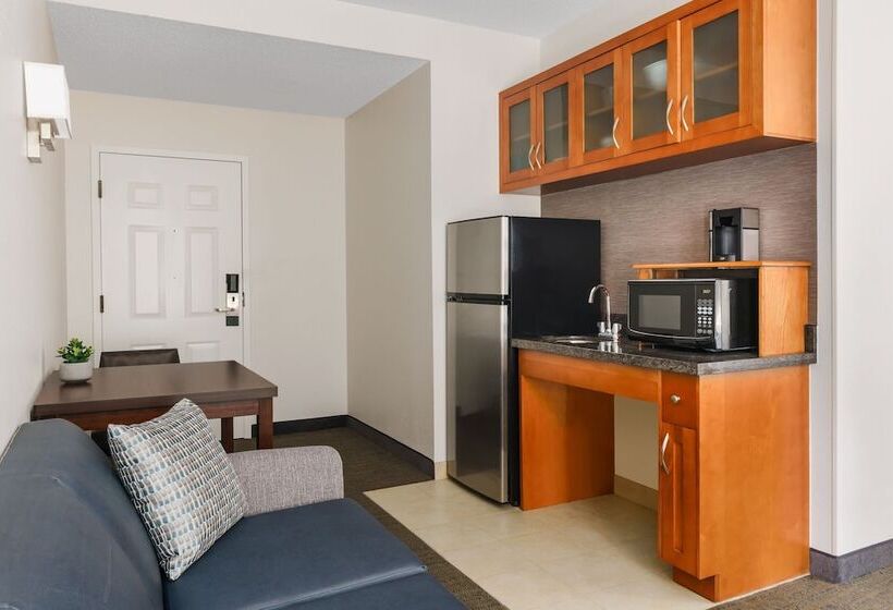 סוויטה, Residence Inn Atlanta Downtown