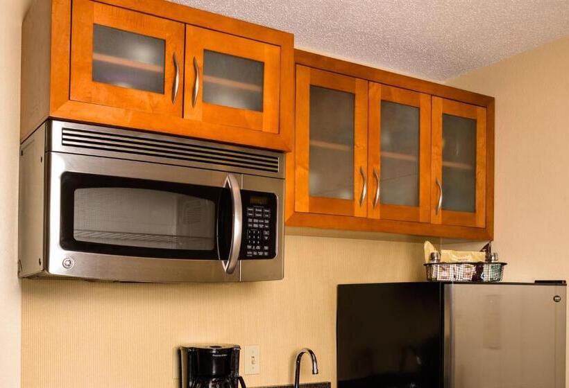 סוויטה, Residence Inn Atlanta Downtown