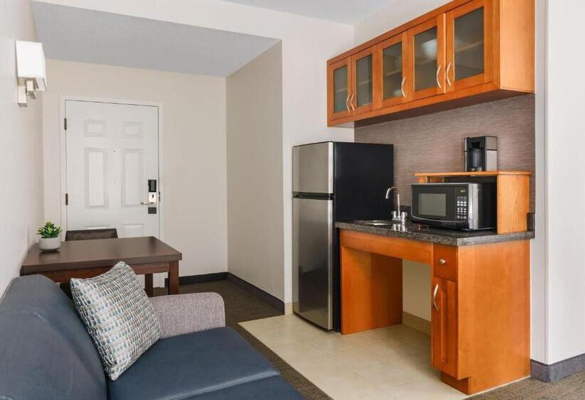 סוויטה, Residence Inn Atlanta Downtown