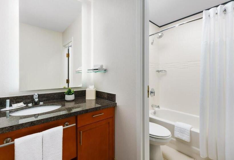 חדר סטודיו סטנדרד, Residence Inn Atlanta Downtown
