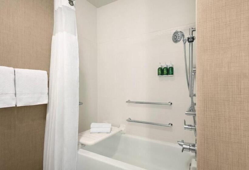 Люкс, Residence Inn Atlanta Duluth Gwinnett Place