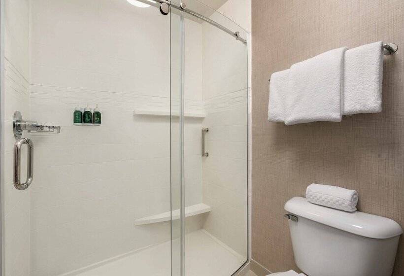 Люкс 2 Спальни, Residence Inn Atlanta Duluth Gwinnett Place