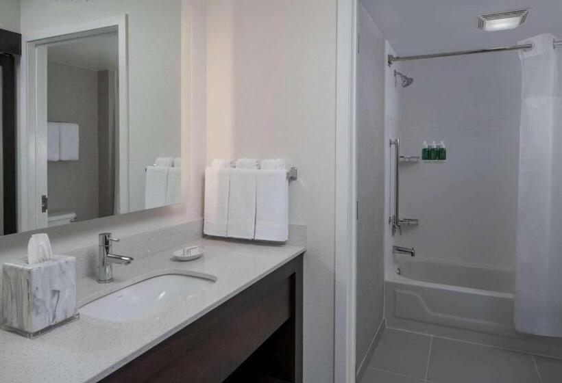 디럭스 스튜디오, Sonesta Es Suites Fairfax Fair Lakes