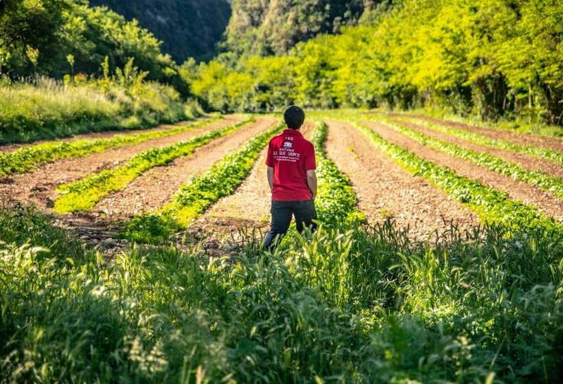 スタンダードルーム, Agriturismo Le Due Querce