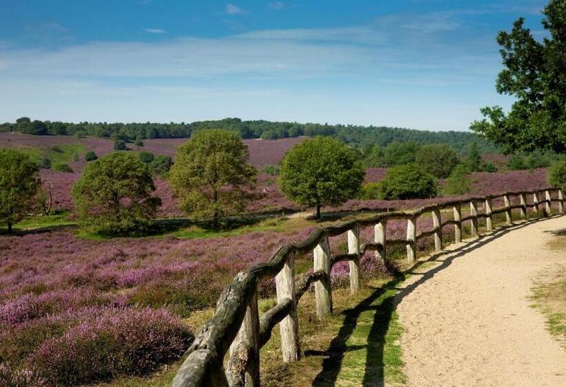 스위트 킹사이즈 침대, Boutique Hotel Beekhuizen