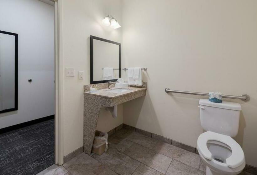 장애인을 위한 킹사이즈 침대 스탠다드 룸, Cobblestone Hotel & Suites   Two Rivers