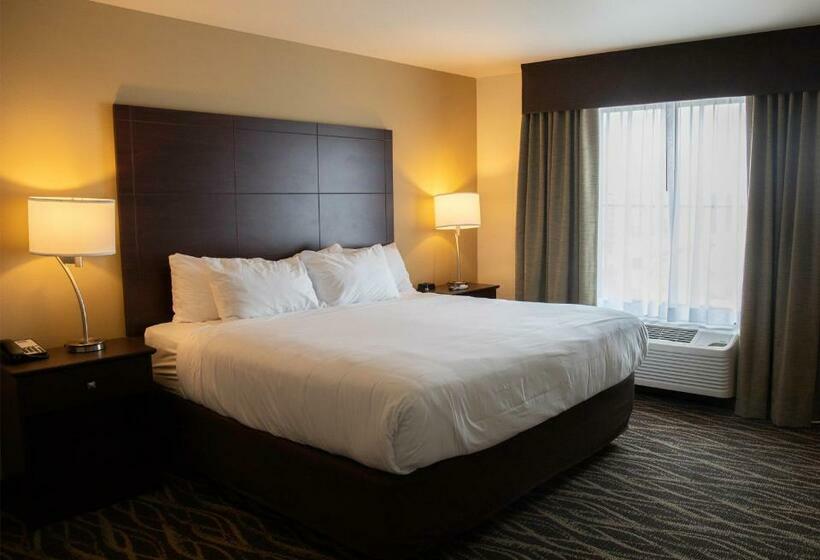 장애인을 위한 킹사이즈 침대 스탠다드 룸, Cobblestone Hotel & Suites   Two Rivers