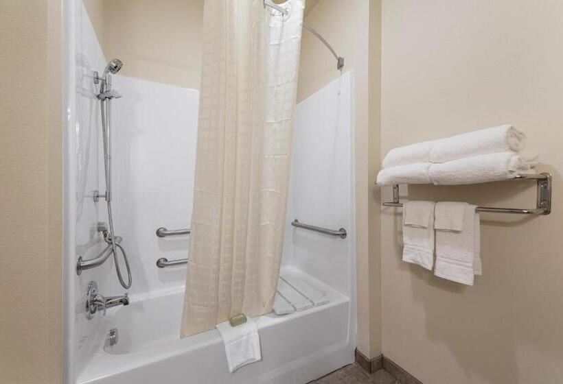 스탠다드 스튜디오, Cobblestone Hotel & Suites   Two Rivers
