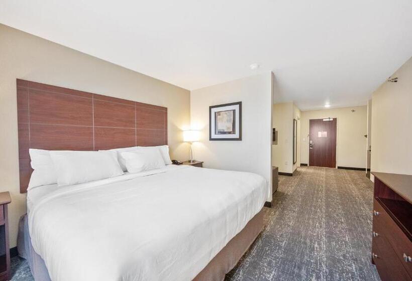 스탠다드 스튜디오 킹침대, Cobblestone Hotel & Suites   Two Rivers