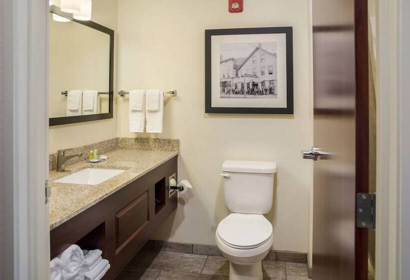 스위트, Cobblestone Hotel & Suites   Two Rivers