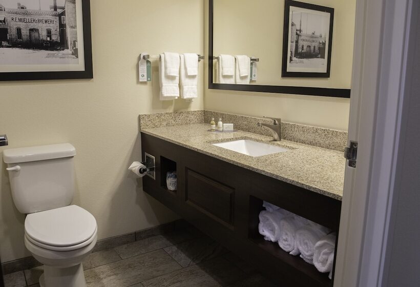 스탠다드 스튜디오, Cobblestone Hotel & Suites   Two Rivers