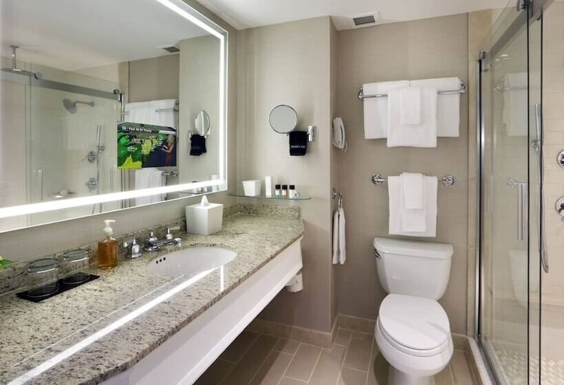 高级客房, Seaport Hotel® Boston