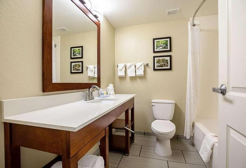Chambre Standard, Comfort Inn Indianapolis North  Carmel