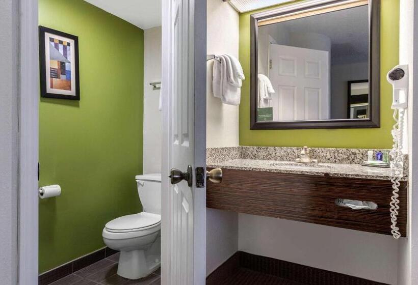 キングサイズベッドのスタンダードルーム, Sleep Inn Near I 80 And I 94