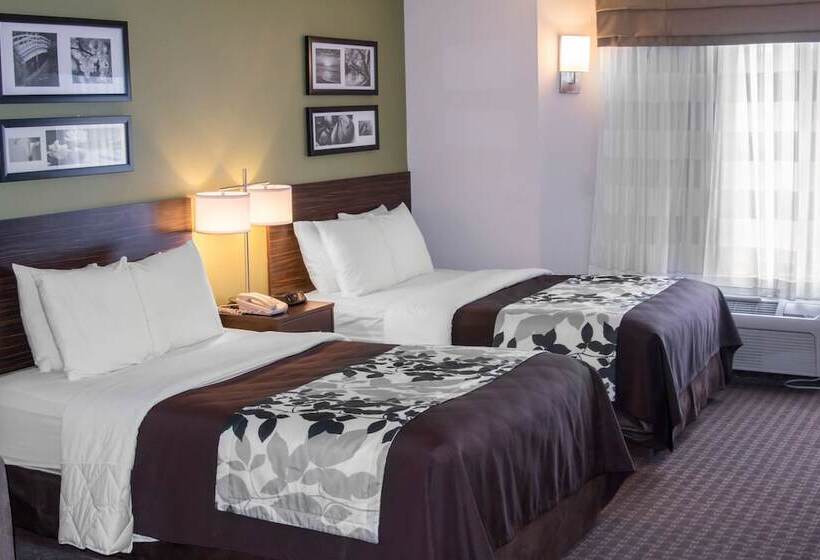 Номер Стандарт 2 Двуспальные Кровати, Sleep Inn