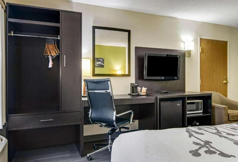 キングサイズベッドのスタンダードルーム, Sleep Inn Near I 80 And I 94