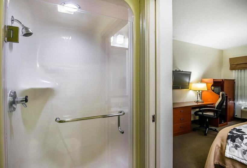 Номер Стандарт 2 Двуспальные Кровати, Sleep Inn Peachtree City   Atlanta