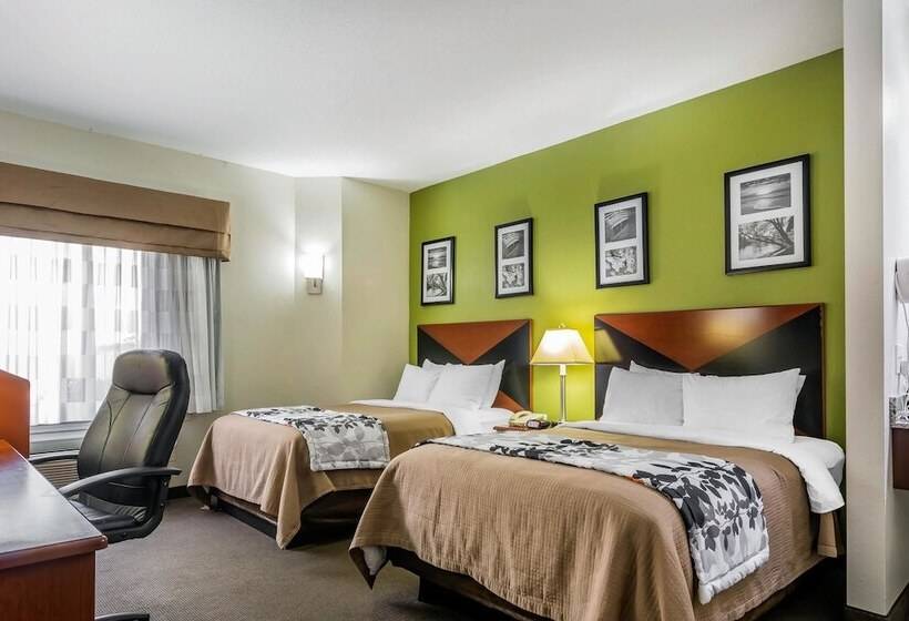 Номер Стандарт 2 Двуспальные Кровати, Sleep Inn Peachtree City   Atlanta