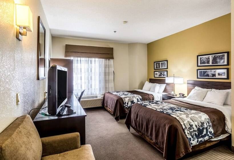 اتاق استاندارد با 2 تخت دوبل, Wingate By Wyndham Owensboro