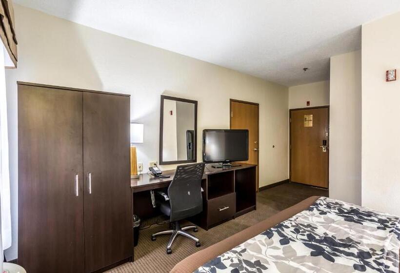 اتاق استاندارد با تخت بزرگ, Wingate By Wyndham Owensboro