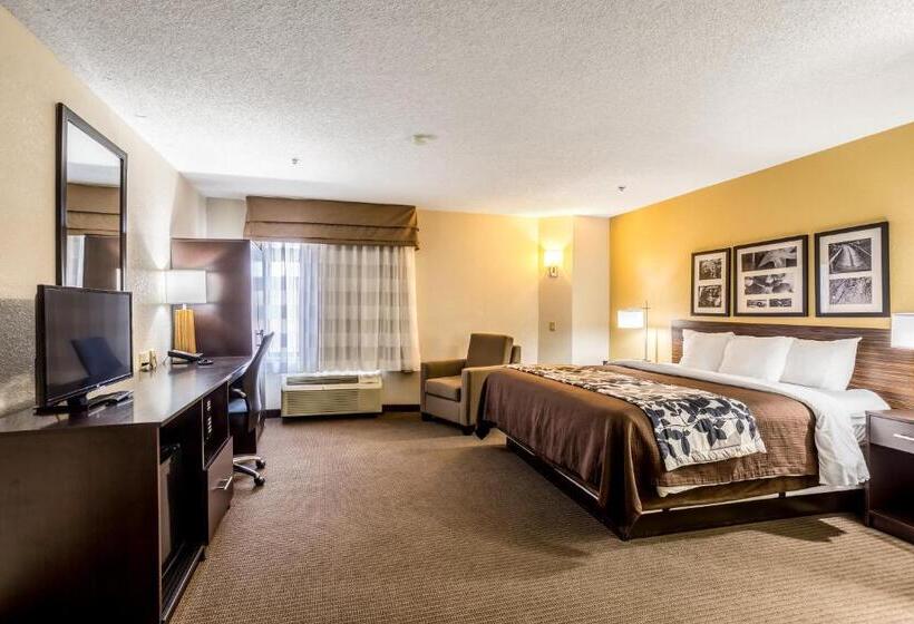 اتاق استاندارد با تخت بزرگ, Wingate By Wyndham Owensboro