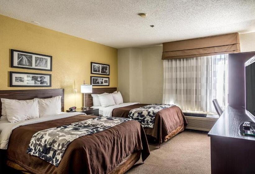 اتاق استاندارد با 2 تخت دوبل, Wingate By Wyndham Owensboro