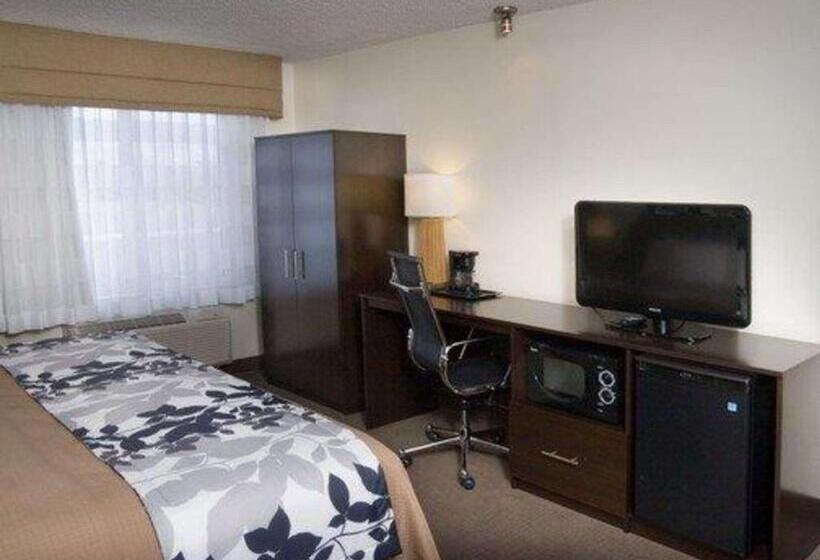 Номер Стандарт Кровать Кинг Адаптированный для Инвалидов, Sleep Inn Pasco Tri  Cities