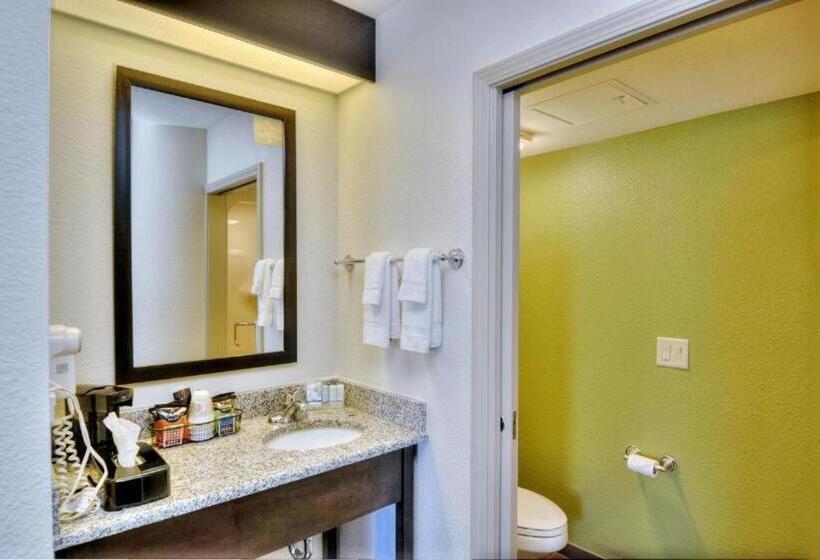 Номер Стандарт 2 Двуспальные Кровати, Sleep Inn & Suites Princeton I 77