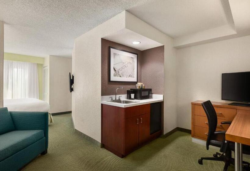 Люкс Кровать Кинг, Springhill Suites Boca Raton